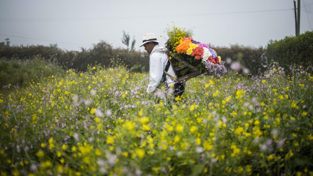 Antioquia Flower Farm (Photo Credit: ProColombia)