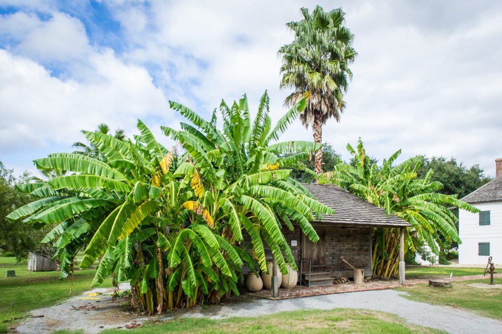 Whitney Plantation in New Orleans (Photo Credit: Whitney Plantation)