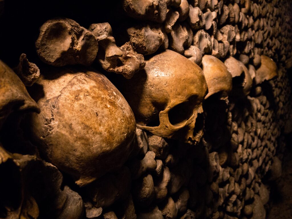 Paris Catacombs (Photo Credit: Travis Grossen on Unsplash)