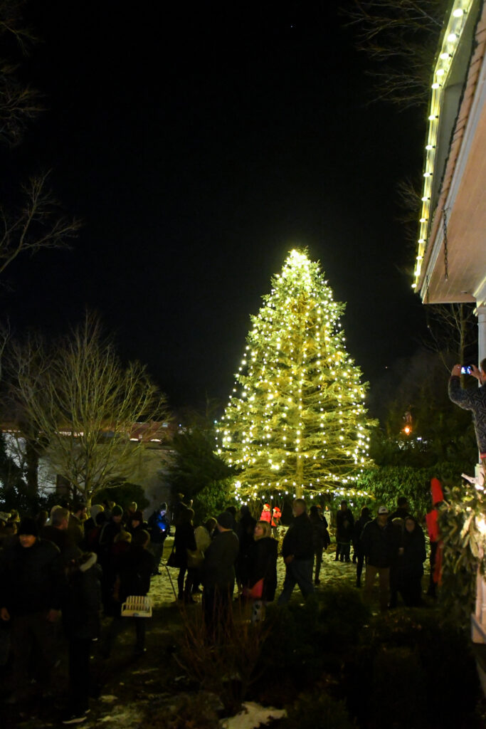 Solar Tree Lighting at the Jones House (Photo Credit: Megan Sheppard)