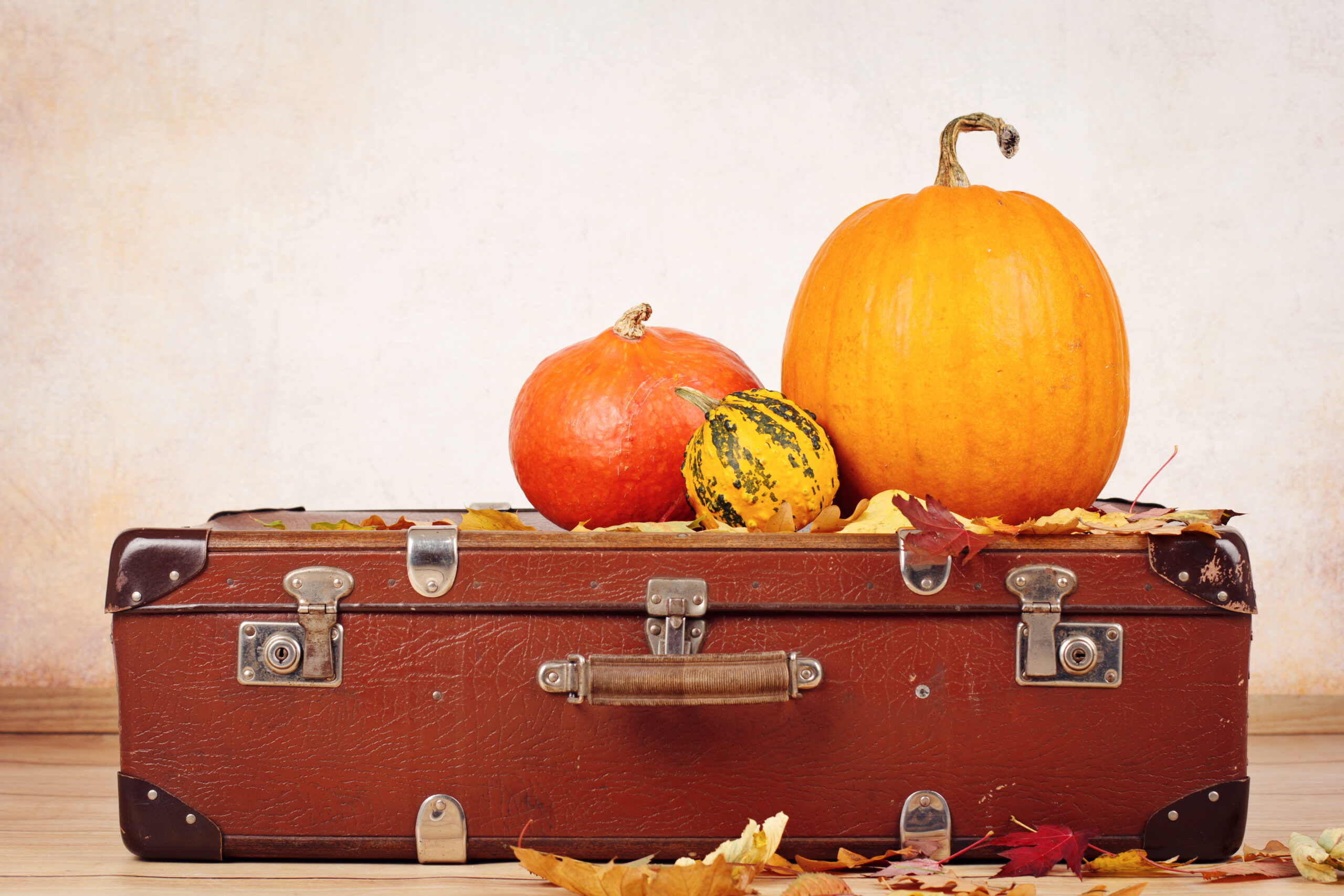 Most Popular International Thanksgiving Destinations Among American