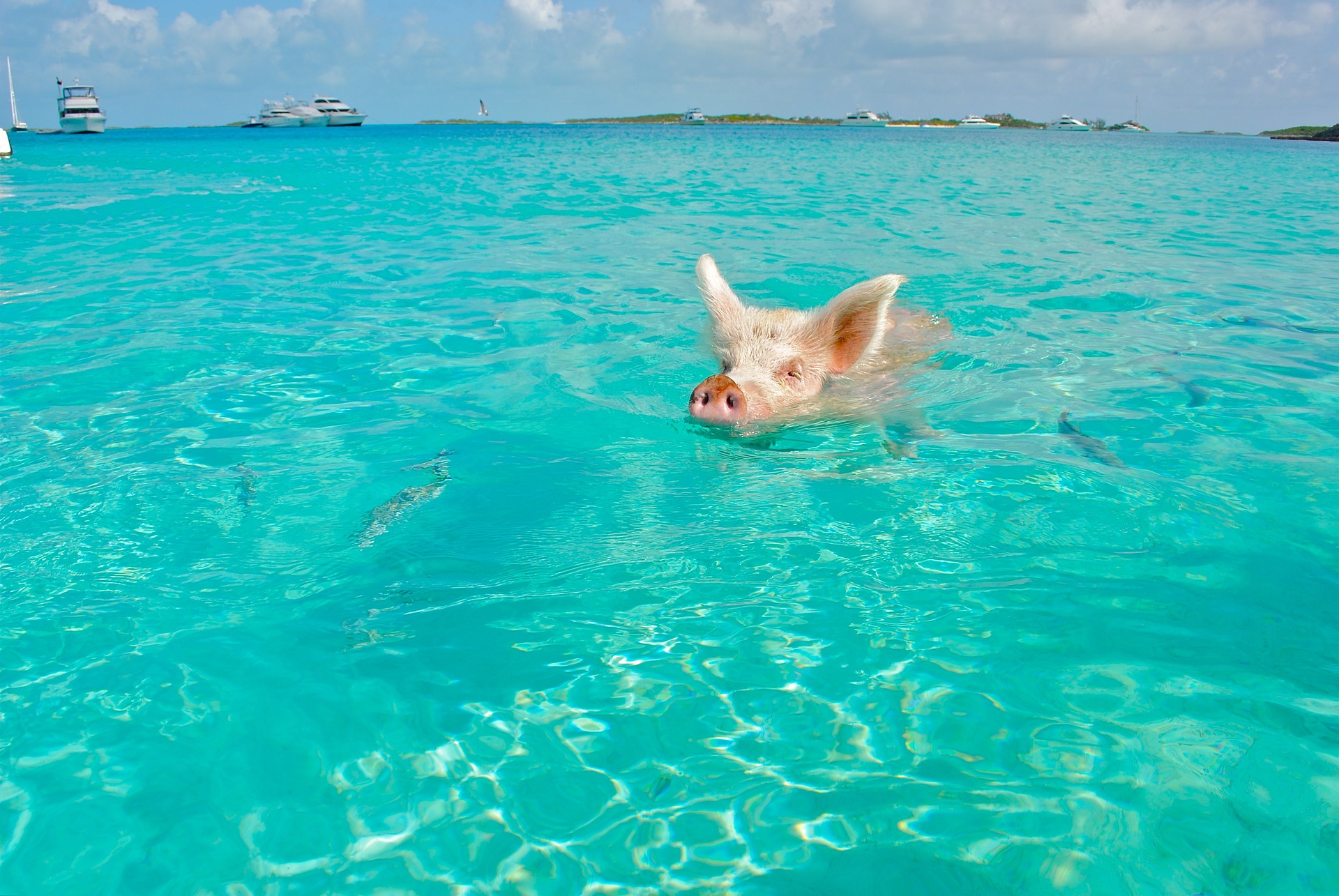 Staniel Cay, Bahamas (Photo Credit: Lisa Larsen from Pixabay)