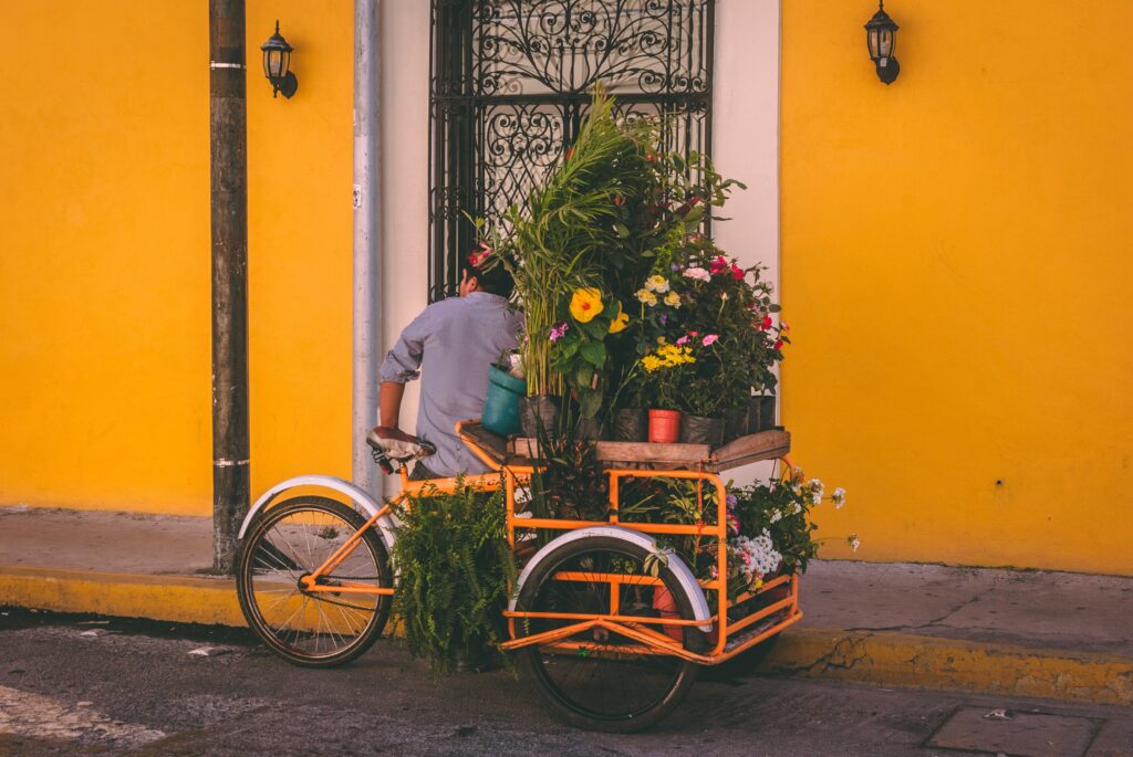 Mérida, Mexico (Photo Credit: Jorge Zapata on Unsplash)