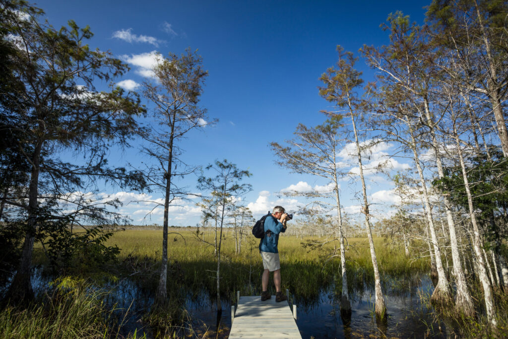 Exploring Big Cypress (Photo Credit: © Naples, Marco Island, Everglades CVB)