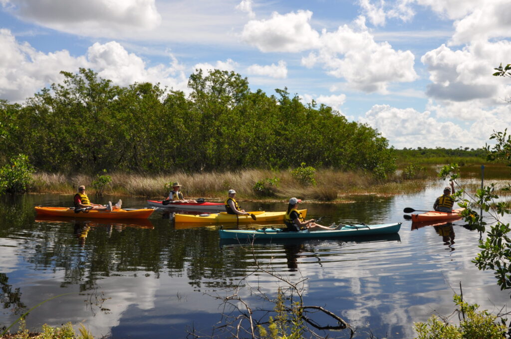 Paddling in the Ten Thousand Islands National Wildlife Refuge (Photo Credit: © Naples, Marco Island, Everglades CVB)