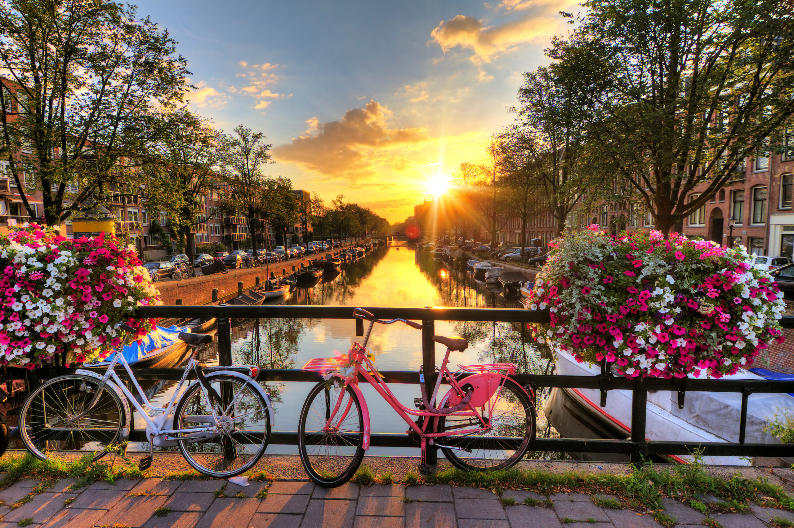 Springtime in Amsterdam (Photo Credit: Dennis van de Water / Shutterstock)