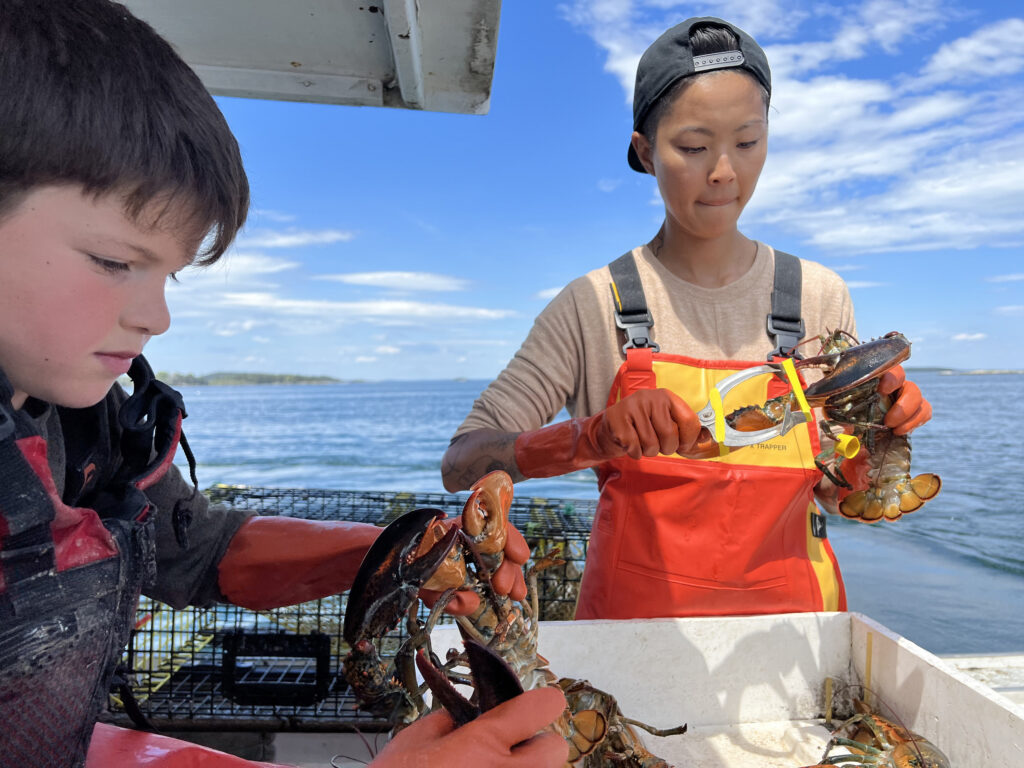 Chef Kristen Kish and Abel's son, Remy, prepare to clean freshly caught lobsters in North Haven, Maine. (Photo Credit: National Geographic/Missy Bania)