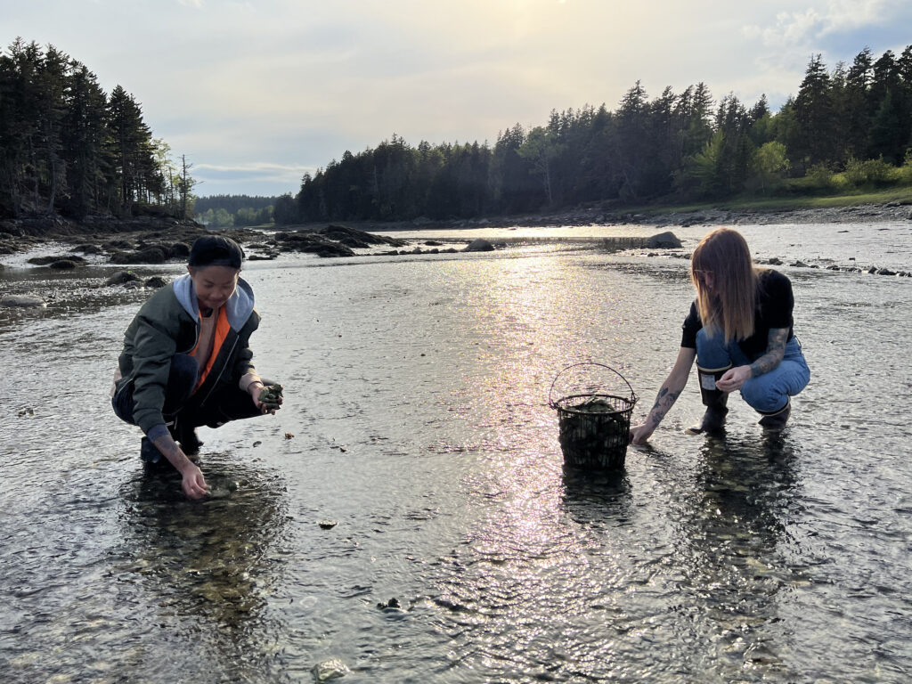 Chef Kristen Kish and Chef Carolynn Ladd dig for oysters in the estuary in North Haven, Maine. (Photo Credit: National Geographic/Missy Bania)