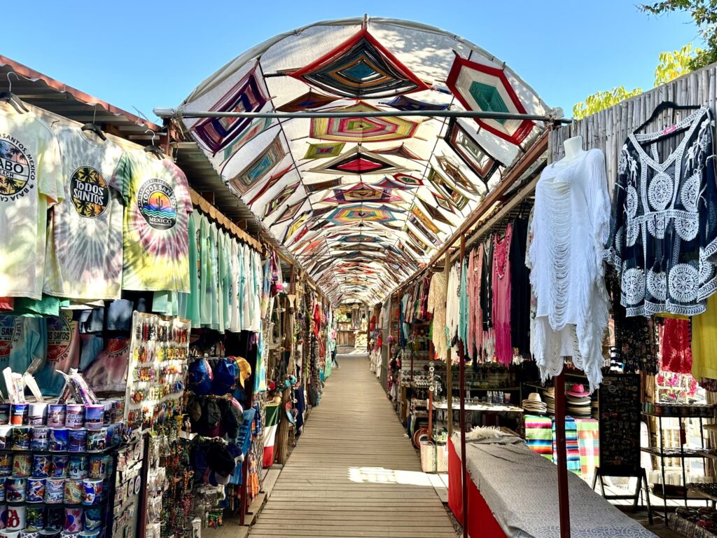 Shopping Bazaar in Todos Santos