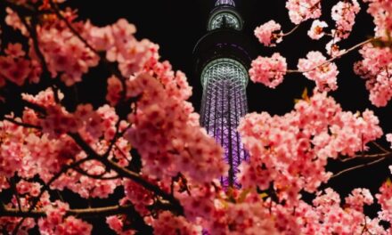 Pride & Cherries Both Blossom During Japan’s Golden Week