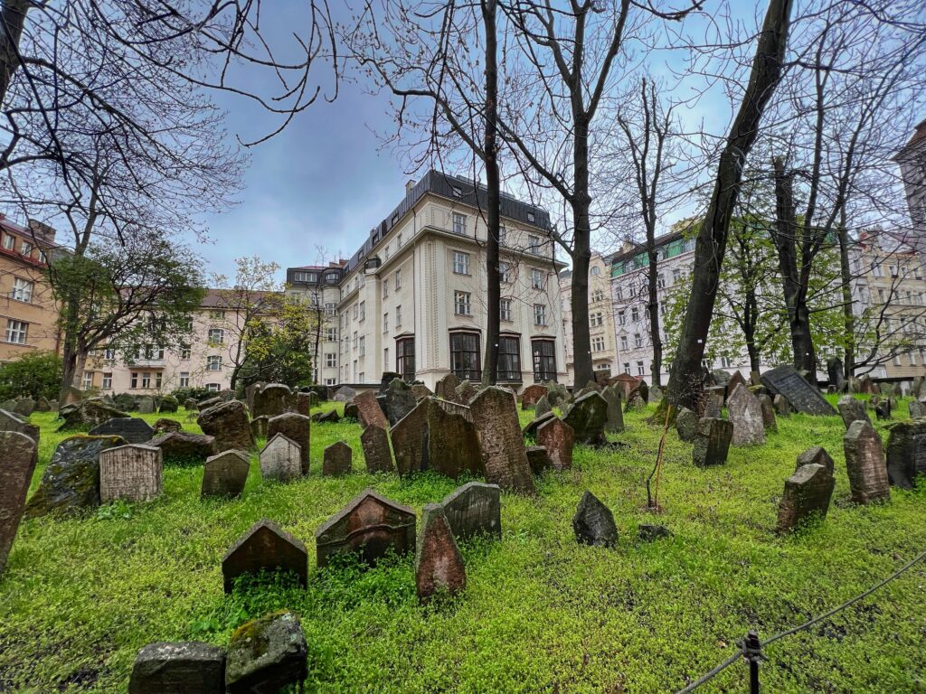 Jewish Cemetery (Photo Credit: Malachi Demmin-De Lise)