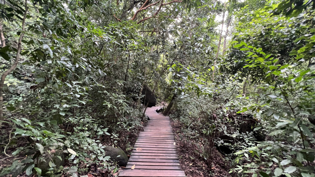 Jungle trail in Tayrona National Park (Photo Credit: Paul J. Heney)