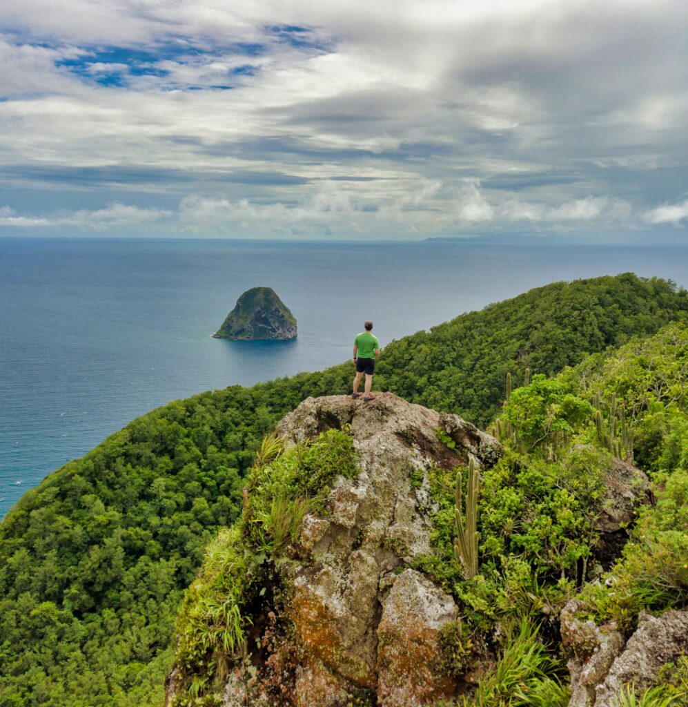 On the coast of Martinique (Photo Credit: Cameron Smith on Unsplash)