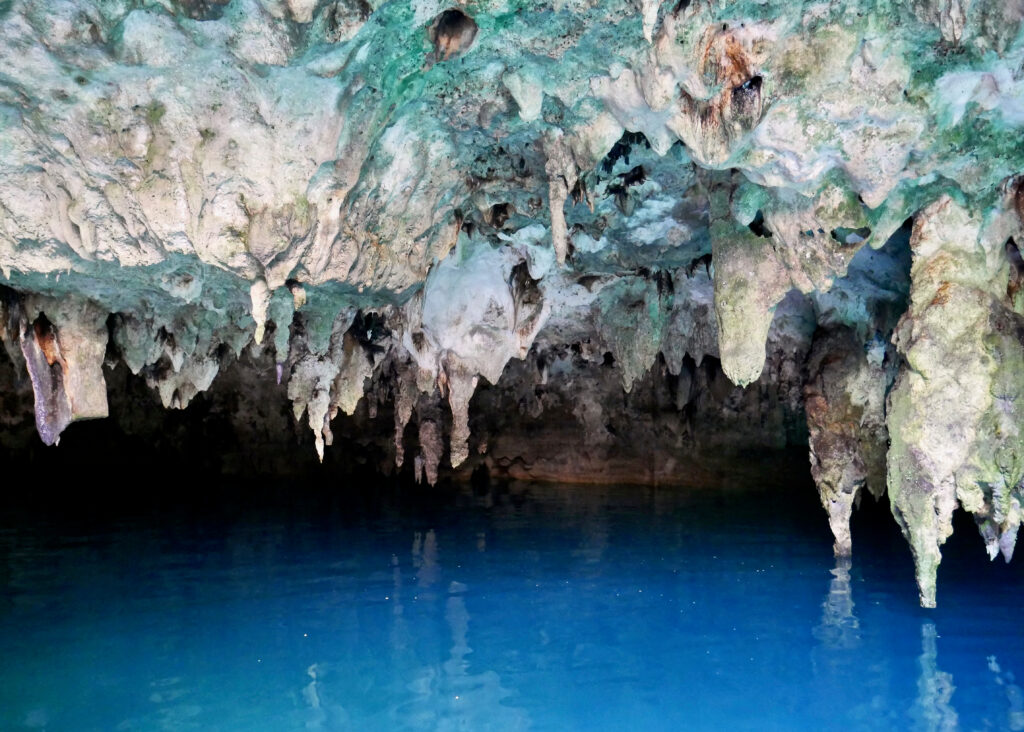 Cenote La Noria (Photo Credit: David Beyer / Shutterstock)