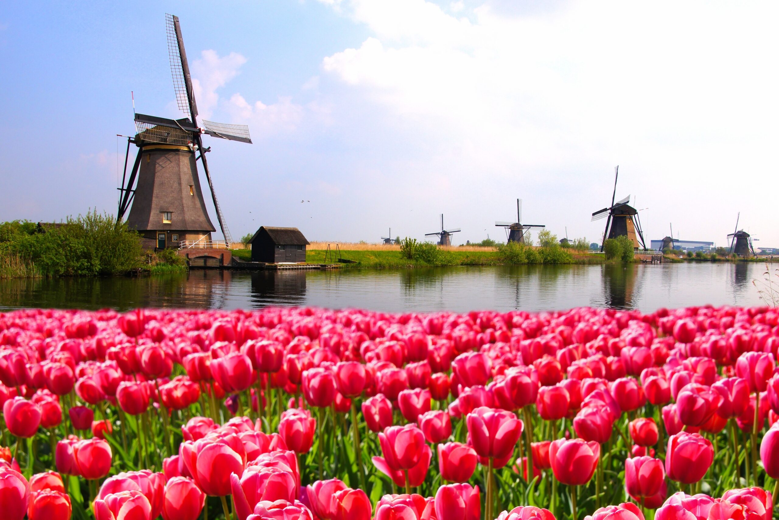 The Netherlands (Photo Credit: JeniFoto / Shutterstock)