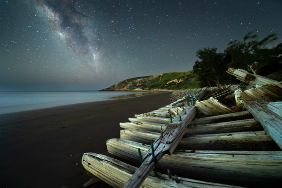 Channel Islands National Park (Photo Credit: Michael Piacenza)