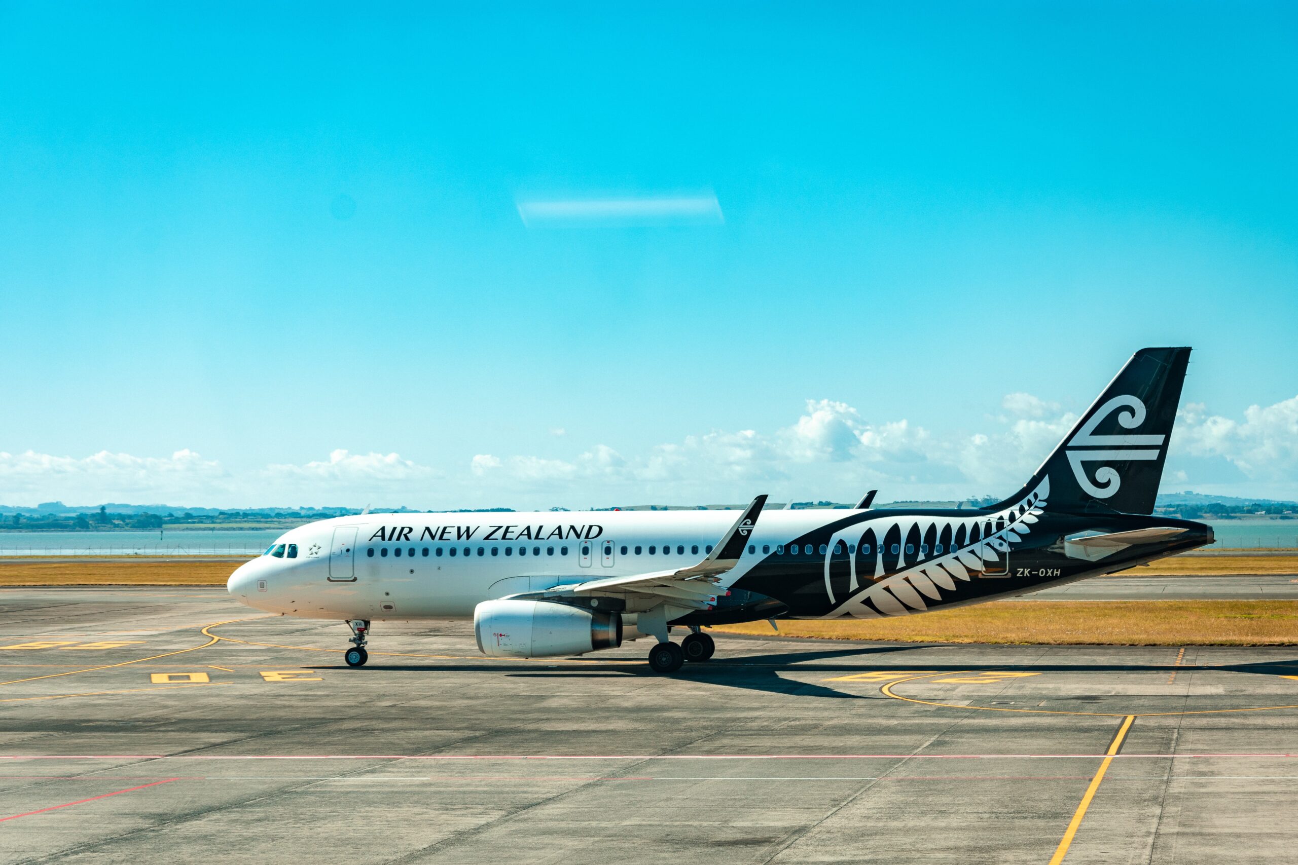 Air New Zealand (Photo Credit: Sébastien Goldberg on Unsplash)