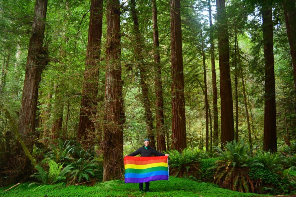 Redwood National Park (Photo Credit: Mikah Meyer)