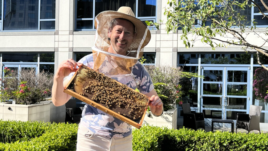 Paul holds some of the Fairmont Waterfront's many bees (Photo Credit: Paul J. Heney)