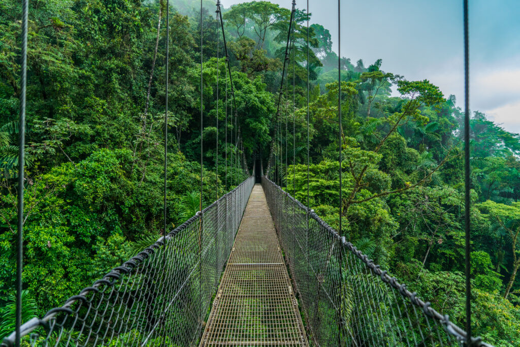 Suspension or hanging bridge near Arenal Volcano (Photo Credit: Enrico Pescantini / Shutterstock)