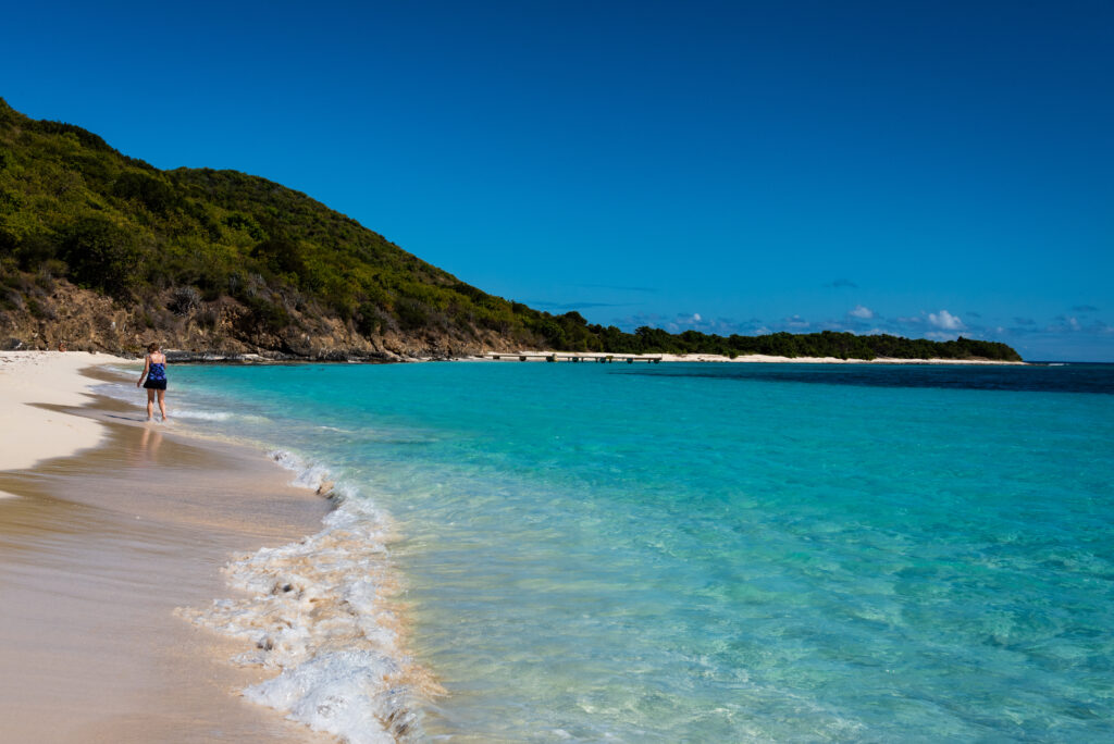 Buck Island Reef National Monument in St. Croix, USVI (Photo Credit: Chris Allan / Shutterstock)