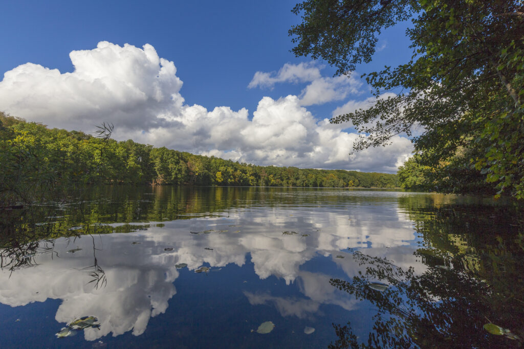 Schlachtensee (Photo Credit: Steinmann Pictures / Shutterstock)