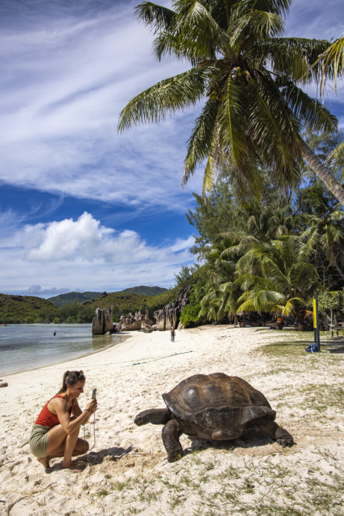 Young woman takes smartphone photograph of giant tortoise on a beach on Curieuse Island. (Photo Credit: Variety Cruises)