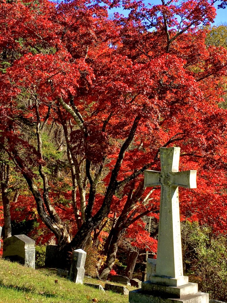Sleepy Hollow Cemetery (Photo Credit: Historic Hudson Valley)