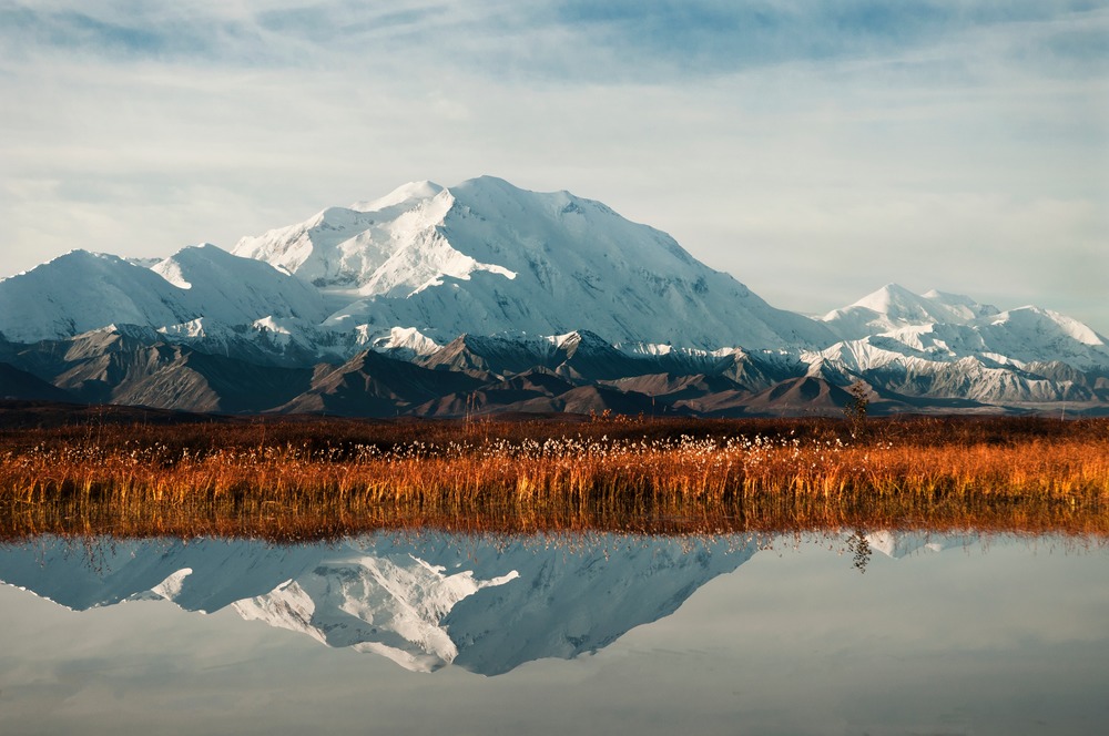 Denali National Park, Alaska (Photo Credit: Tim Rains)