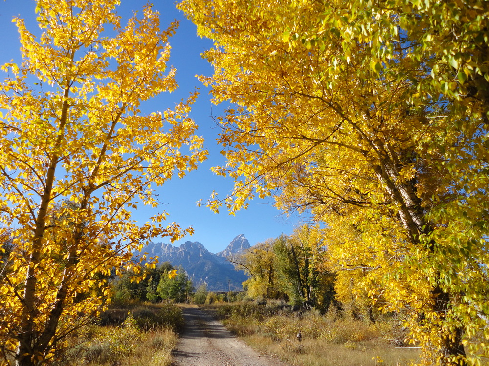 Grand Teton National Park, Wyoming (Photo Credit: National Park Service)