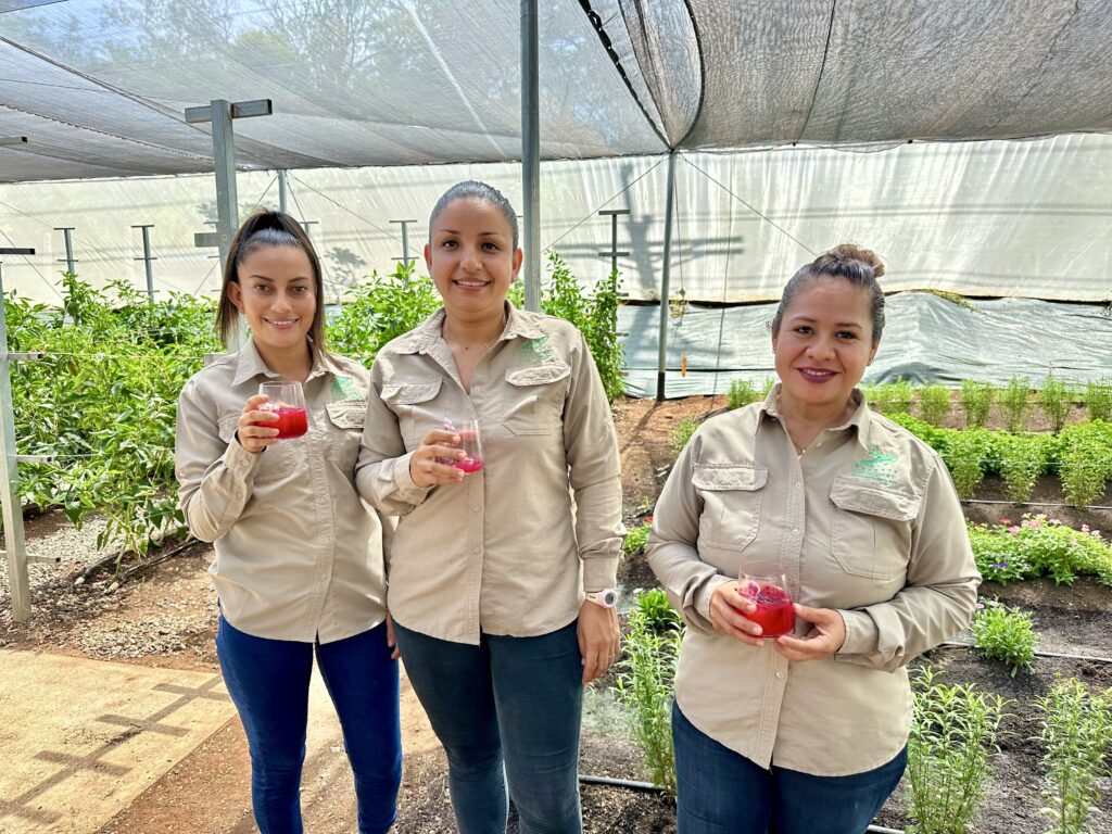 Greenhouse workers at Reserva Conchal (Photo Credit: Jon Bailey)
