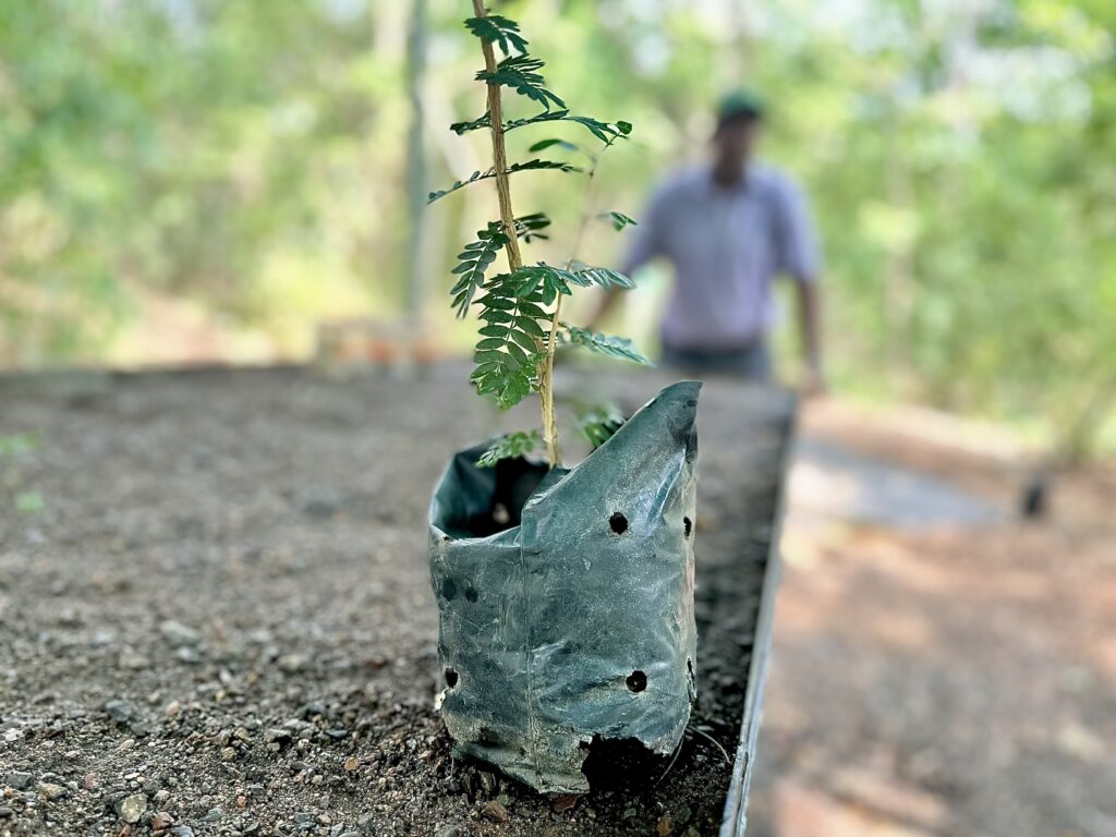 Nursery at Reserva Conchal (Photo Credit: Reserva Conchal)