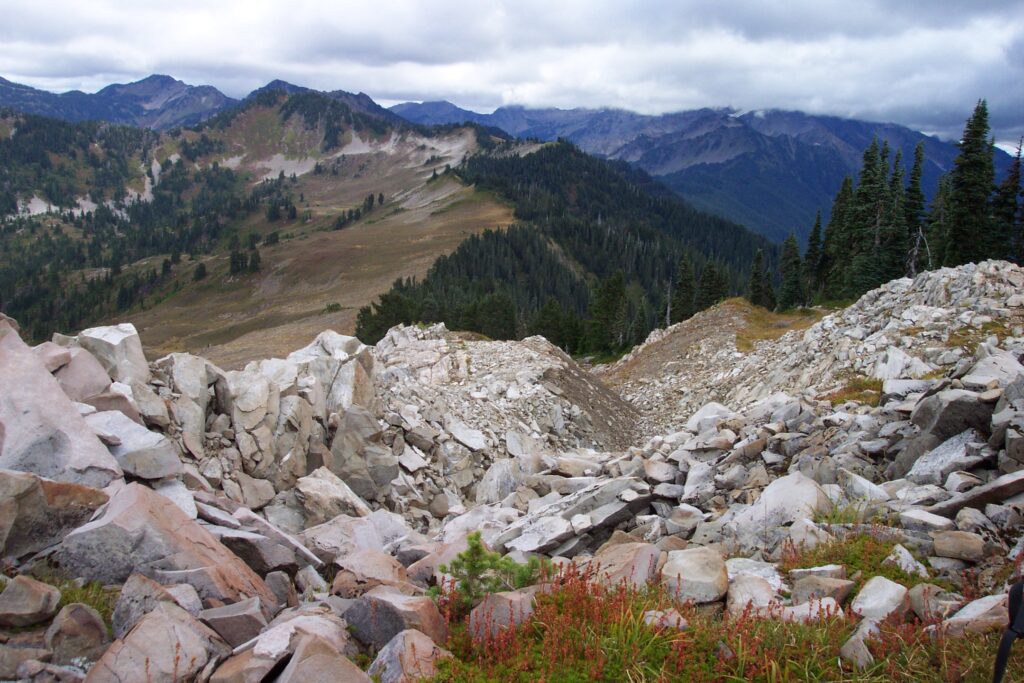 Olympic National Park, Washington (Photo Credit: National Park Service)