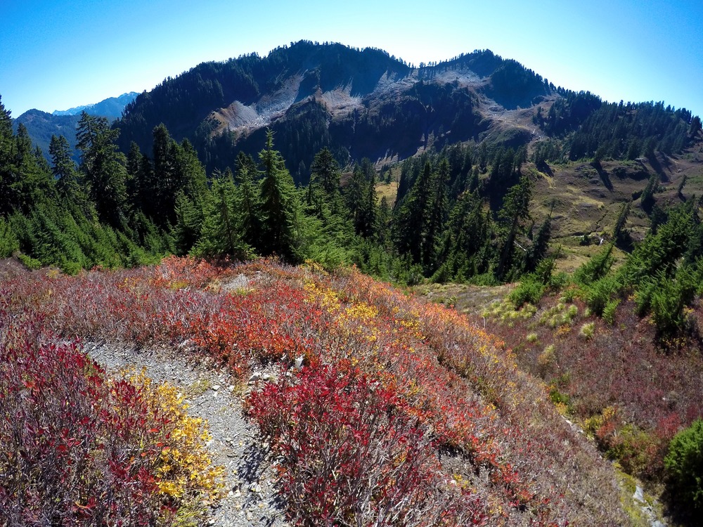 Olympic National Park, Washington (Photo Credit: National Park Service)