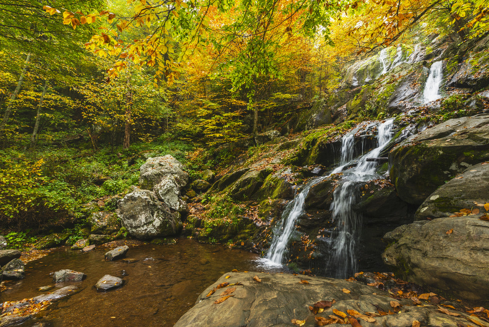 Shenandoah National Park, Virginia (Photo Credit: National Park Service)