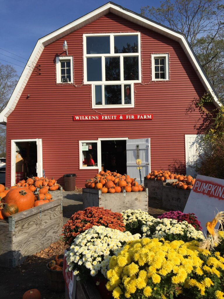 Wilkens Fruit & Fir Farm (Photo Credit: Mohammed Elshamy)