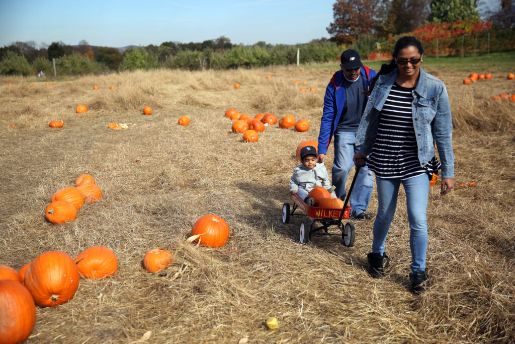 Wilkens Fruit & Fir Farm (Photo Credit: Mohammed Elshamy)