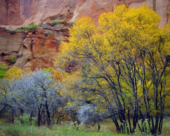 Zion National Park, Utah (Photo Credit: National Park Service)