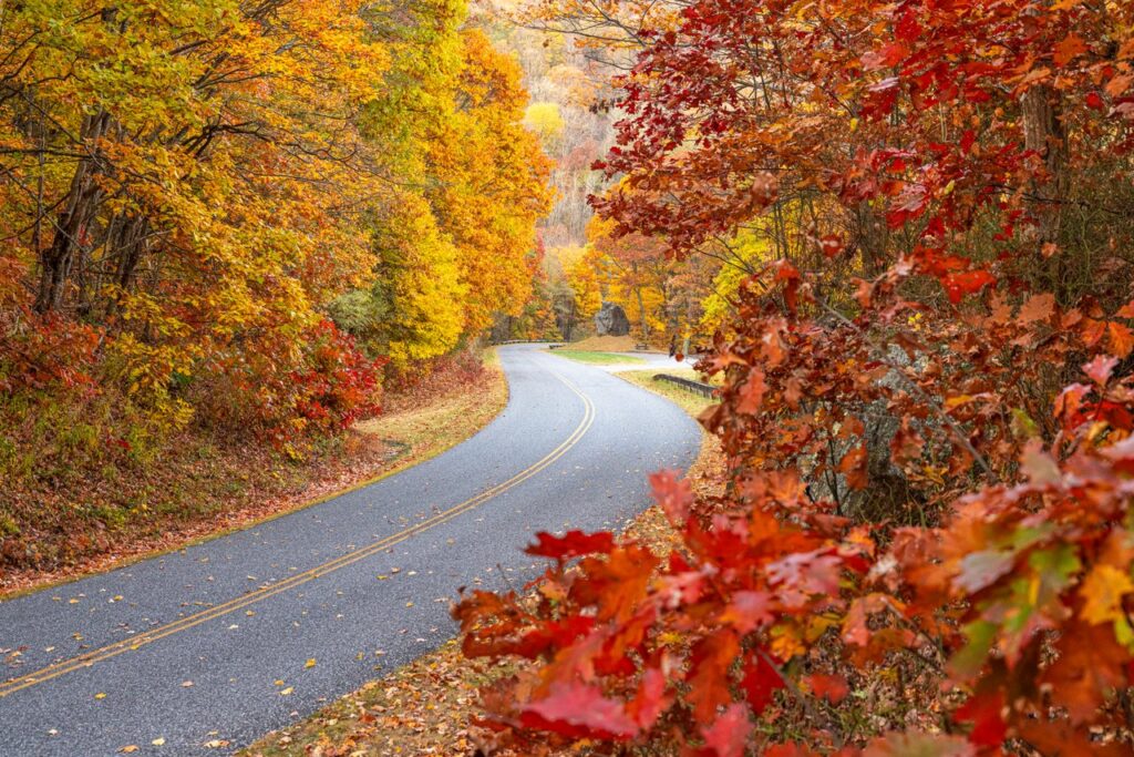 Balsam Gap on Blue Ridge Parkway (Photo Credit: Explore Asheville)