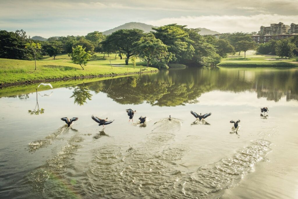 Golf Course at the W Costa Rica (Photo Credit: W Costa Rica)