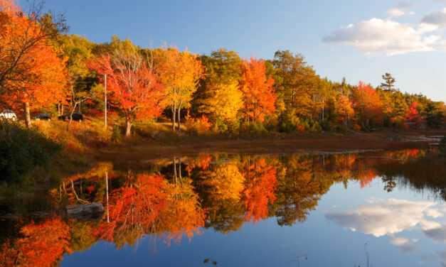 7 National Parks to Get Your Leaf Peeping On