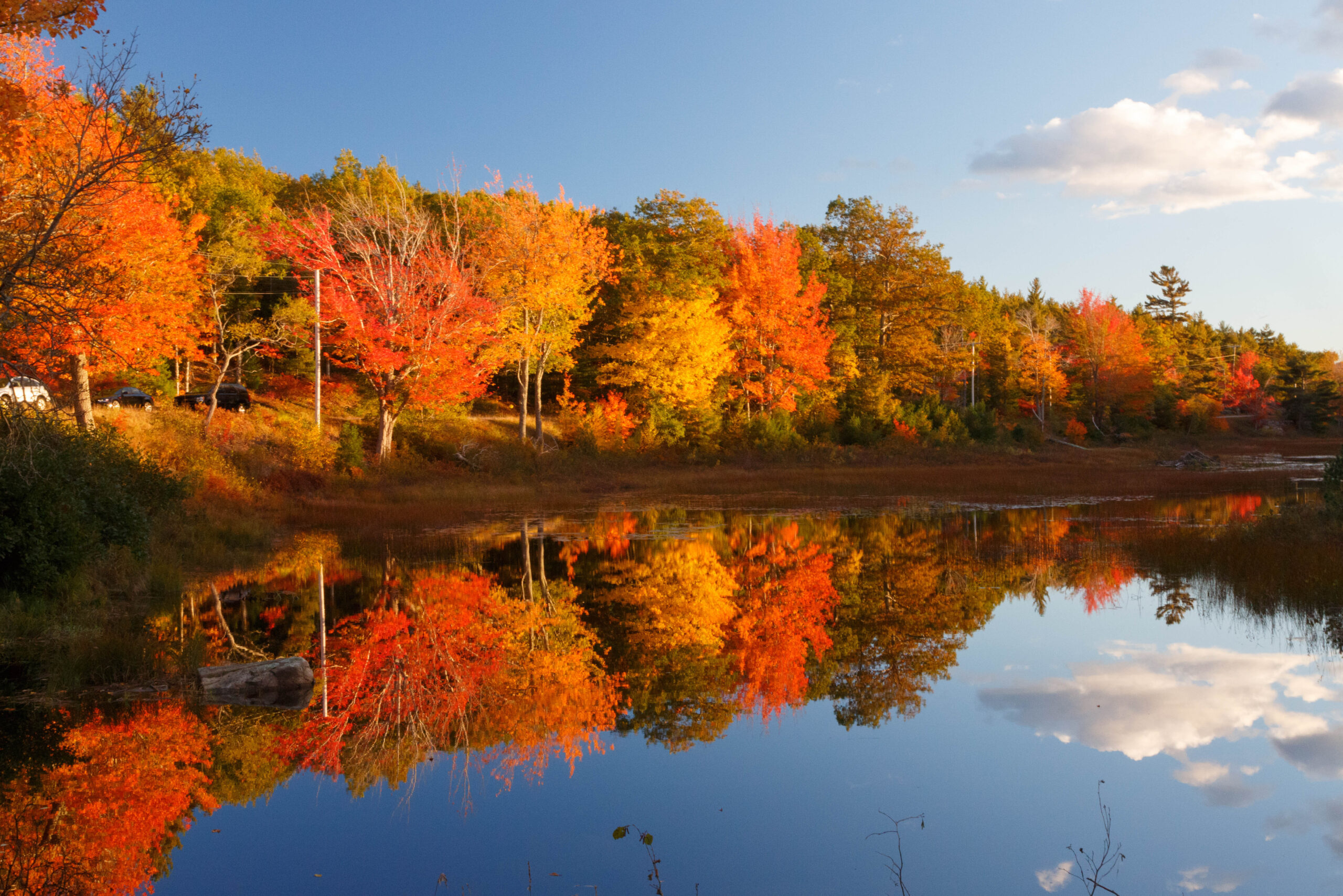 Acadia National Park in Maine (Photo Credit: Barbara Barbour / Shutterstock)