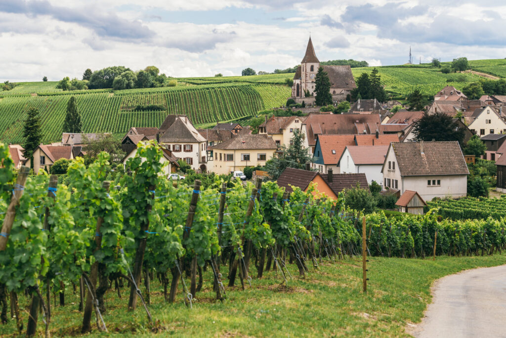 Burgundy, France (Photo courtesy of Source Journeys)