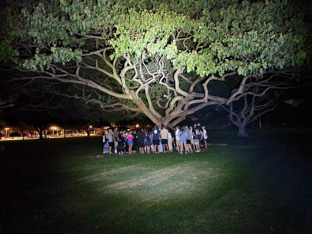 Kapiolani Park (Photo Credit: Mysteries of Hawaii Tours)