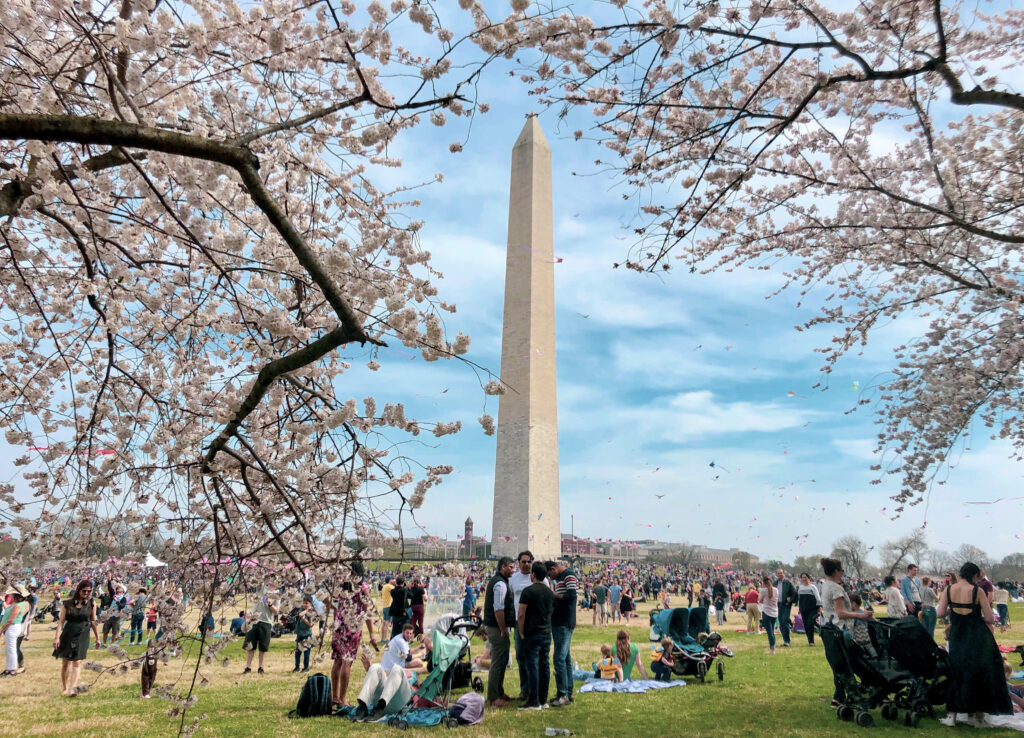Washington Monument (Photo Credit: Washington.org)