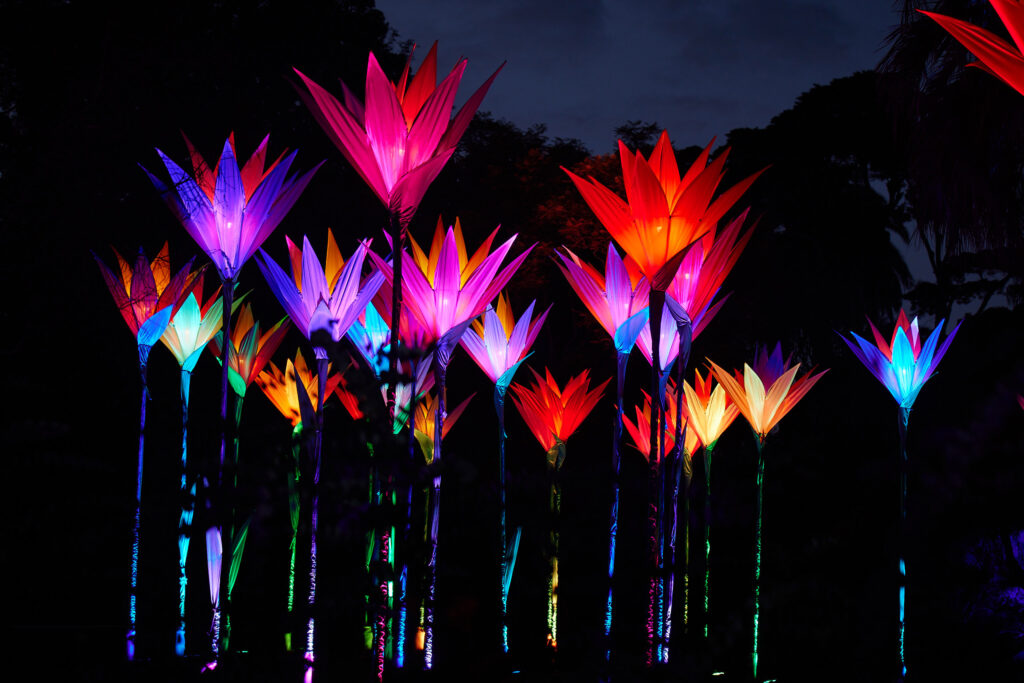 (Photo Credit: Lightscape)