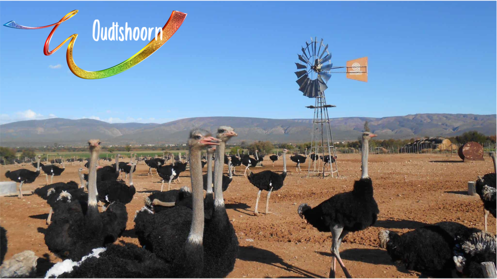 Oudtshoorn (Photo Credit: Afrigay Travel)