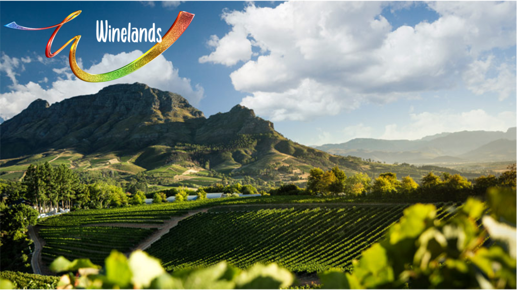 Winelands (Photo Credit: Afrigay Travel)