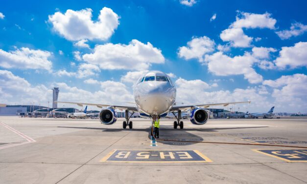 Airlines Halt Flights to Israel
