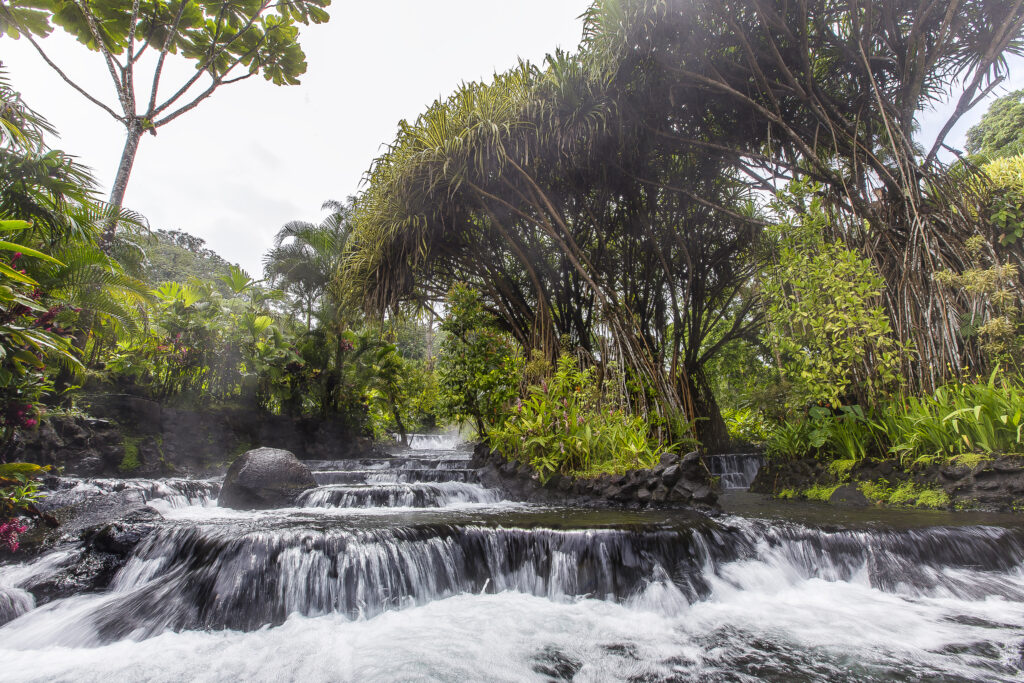 Tabacón Hot Springs (Photo Credit: Costa Rica)